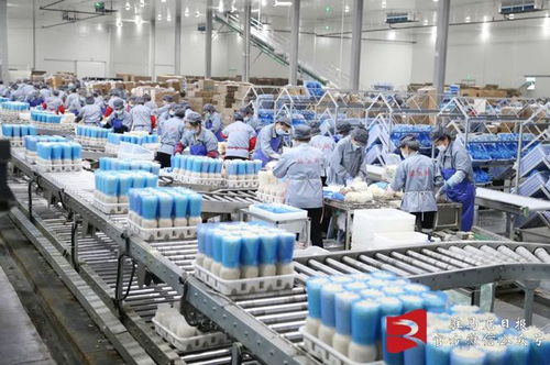 跨越3000億的農(nóng)業(yè)科技力量 駐馬店食用菌研發(fā)新突破